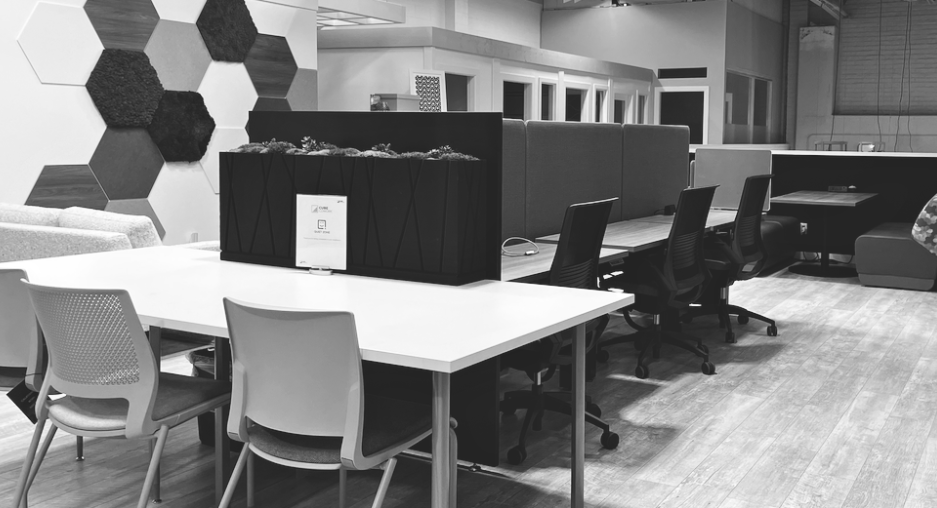 Screen Shot 2025-08-21 at 2.56.19 PM